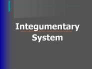 Integumentary System