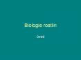 Biologie rostlin PowerPoint PPT Presentation