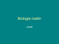 Biologie rostlin PowerPoint PPT Presentation