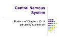 Central Nervous System PowerPoint PPT Presentation