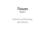 Tissues Chapter 4