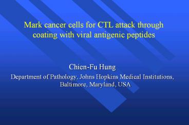 Vaccinia Vaccine Vectors for Cervical Cancers