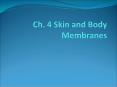 Ch. 4 Skin and Body Membranes PowerPoint PPT Presentation
