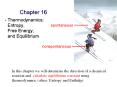 Thermodynamics: Entropy, Free Energy, and Equilibrium PowerPoint PPT Presentation