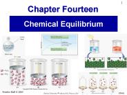 Chemical Equilibrium
