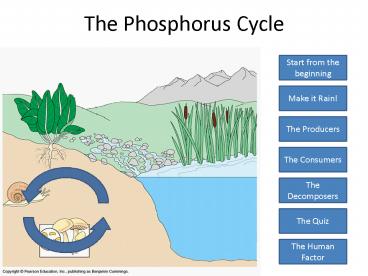 The Phosphorus Cycle