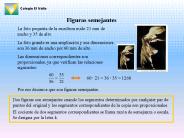 Figuras semejantes