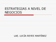 ESTRATEGIAS A NIVEL DE NEGOCIOS
