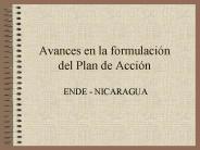 Avances en la formulaci