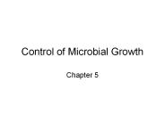 Control of Microbial Growth