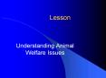 Understanding Animal Welfare Issues PowerPoint PPT Presentation