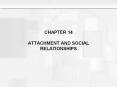 CHAPTER 14 ATTACHMENT AND SOCIAL RELATIONSHIPS PowerPoint PPT Presentation