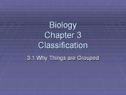 Biology%20Chapter%203%20Classification