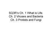 SQ3R