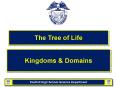 The Tree of Life PowerPoint PPT Presentation