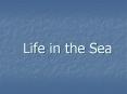 Life%20in%20the%20Sea PowerPoint PPT Presentation
