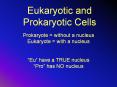 Eukaryotic and Prokaryotic Cells PowerPoint PPT Presentation