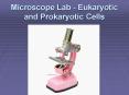 Microscope Lab - Eukaryotic and Prokaryotic Cells PowerPoint PPT Presentation