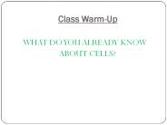 Class%20Warm-Up