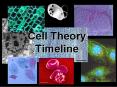 Cell Theory Timeline PowerPoint PPT Presentation