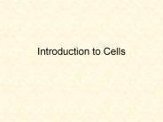 Introduction to Cells