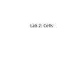 Lab 2: Cells PowerPoint PPT Presentation