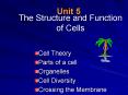 The Structure and Function of Cells PowerPoint PPT Presentation