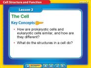 Lesson 2 Reading Guide