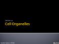 Cell Organelles PowerPoint PPT Presentation