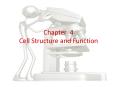 Chapter 4 Cell Structure and Function PowerPoint PPT Presentation