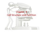 Chapter 4 Cell Structure and Function
