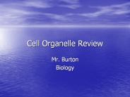 Cell Organelle Review