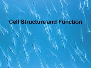 Cell%20Structure%20and%20Function