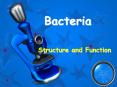 Bacteria PowerPoint PPT Presentation