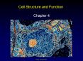 Cell Structure and Function PowerPoint PPT Presentation