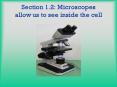 Section 1.2: Microscopes allow us to see inside the cell PowerPoint PPT Presentation