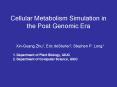 Cellular Metabolism Simulation in the Post Genomic Era PowerPoint PPT Presentation