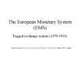 The European Monetary System (EMS) PowerPoint PPT Presentation