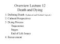 Overview Lecture 12 Death and Dying PowerPoint PPT Presentation