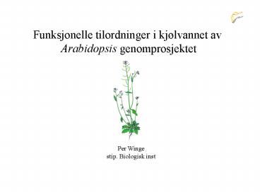 Funksjonelle tilordninger i kj