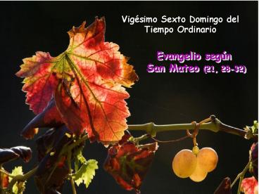 Evangelio San Mateo 21, 28-32