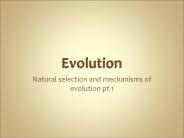 Evolution