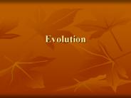 Evolution
