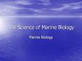 The Science of Marine Biology PowerPoint PPT Presentation