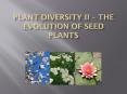 Plant Diversity II  PowerPoint PPT Presentation