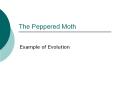 The%20Peppered%20Moth PowerPoint PPT Presentation
