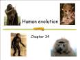 Human evolution PowerPoint PPT Presentation