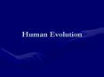Human Evolution PowerPoint PPT Presentation