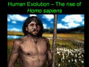 Human%20Evolution%20