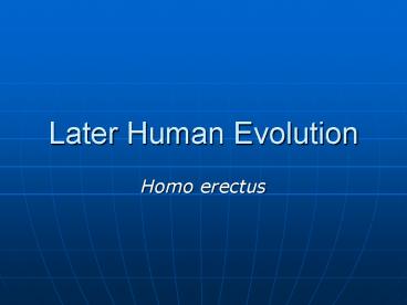 Later Human Evolution
